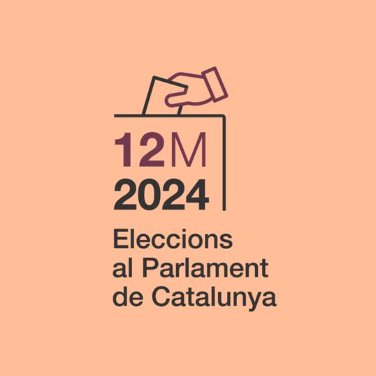 Logotip eleccions 2024